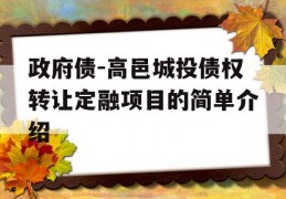 政府债-高邑城投债权转让定融项目的简单介绍