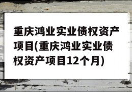 重庆鸿业实业债权资产项目(重庆鸿业实业债权资产项目12个月)