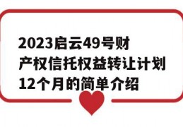 2023启云49号财产权信托权益转让计划12个月的简单介绍