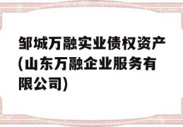 邹城万融实业债权资产(山东万融企业服务有限公司)