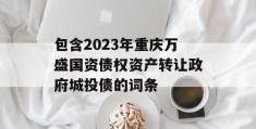 包含2023年重庆万盛国资债权资产转让政府城投债的词条