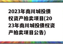 2023年南川城投债权资产拍卖项目(2023年南川城投债权资产拍卖项目公告)