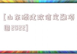 [山东滕建政信定融项目2022]