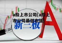 a股上市公司(a股上市公司最低市值)