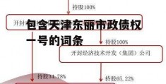 包含天津东丽市政债权一号的词条