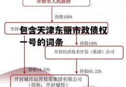 包含天津东丽市政债权一号的词条