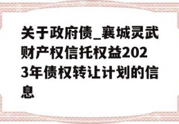 关于政府债_襄城灵武财产权信托权益2023年债权转让计划的信息