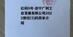 红码9号-遂宁广利工业发展有限公司2022债权(5)的简单介绍