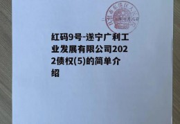 红码9号-遂宁广利工业发展有限公司2022债权(5)的简单介绍