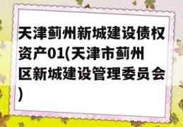 天津蓟州新城建设债权资产01(天津市蓟州区新城建设管理委员会)