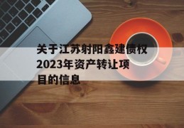 关于江苏射阳鑫建债权2023年资产转让项目的信息