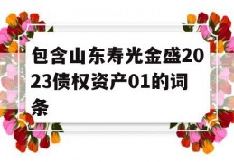 包含山东寿光金盛2023债权资产01的词条