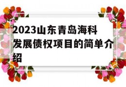 2023山东青岛海科发展债权项目的简单介绍