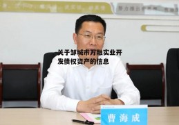 关于邹城市万融实业开发债权资产的信息