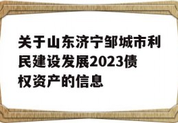 关于山东济宁邹城市利民建设发展2023债权资产的信息