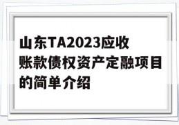 山东TA2023应收账款债权资产定融项目的简单介绍