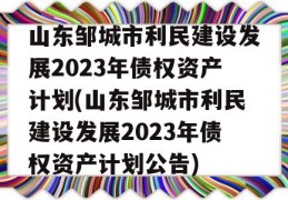 山东邹城市利民建设发展2023年债权资产计划(山东邹城市利民建设发展2023年债权资产计划公告)