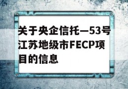 关于央企信托—53号江苏地级市FECP项目的信息