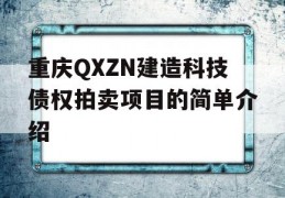 重庆QXZN建造科技债权拍卖项目的简单介绍