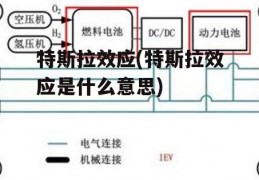 特斯拉效应(特斯拉效应是什么意思)