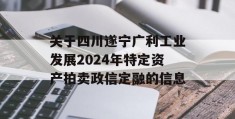 关于四川遂宁广利工业发展2024年特定资产拍卖政信定融的信息