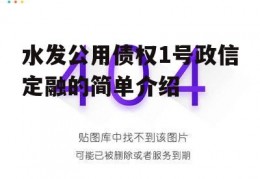 水发公用债权1号政信定融的简单介绍