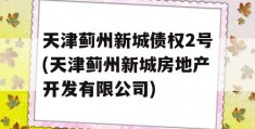 天津蓟州新城债权2号(天津蓟州新城房地产开发有限公司)