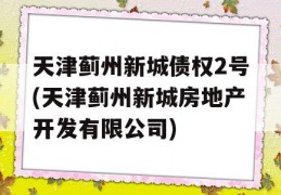 天津蓟州新城债权2号(天津蓟州新城房地产开发有限公司)