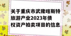 关于重庆市武隆喀斯特旅游产业2023年债权资产拍卖项目的信息