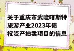 关于重庆市武隆喀斯特旅游产业2023年债权资产拍卖项目的信息