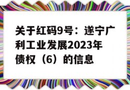 关于红码9号：遂宁广利工业发展2023年债权（6）的信息