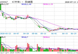 st中华(000017股吧)