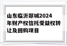 山东临沂郯城2024年财产权信托受益权转让及回购项目