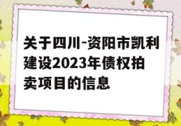 关于四川-资阳市凯利建设2023年债权拍卖项目的信息