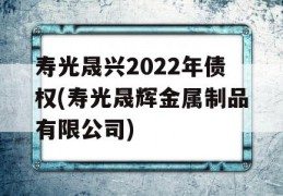 寿光晟兴2022年债权(寿光晟辉金属制品有限公司)