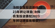 汝阳农发投资债权2023年转让项目(汝阳农发投资债权2023年转让项目有哪些)