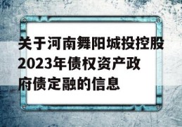 关于河南舞阳城投控股2023年债权资产政府债定融的信息