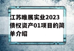 江苏睢展实业2023债权资产01项目的简单介绍