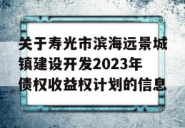 关于寿光市滨海远景城镇建设开发2023年债权收益权计划的信息