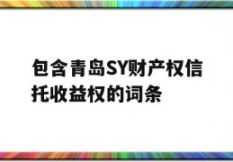 包含青岛SY财产权信托收益权的词条