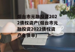 烟台市元融投资2022债权资产(烟台市元融投资2022债权资产负债率)