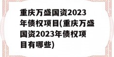 重庆万盛国资2023年债权项目(重庆万盛国资2023年债权项目有哪些)