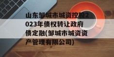 山东邹城市城资控股2023年债权转让政府债定融(邹城市城资资产管理有限公司)