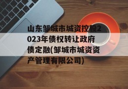 山东邹城市城资控股2023年债权转让政府债定融(邹城市城资资产管理有限公司)