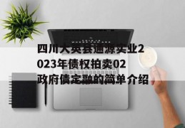 四川大英县通源实业2023年债权拍卖02政府债定融的简单介绍