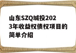 山东SZQ城投2023年收益权债权项目的简单介绍