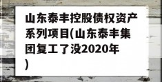 山东泰丰控股债权资产系列项目(山东泰丰集团复工了没2020年)