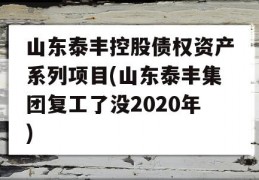 山东泰丰控股债权资产系列项目(山东泰丰集团复工了没2020年)