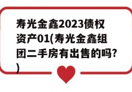 寿光金鑫2023债权资产01(寿光金鑫组团二手房有出售的吗?)