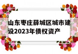 山东枣庄薛城区城市建设2023年债权资产